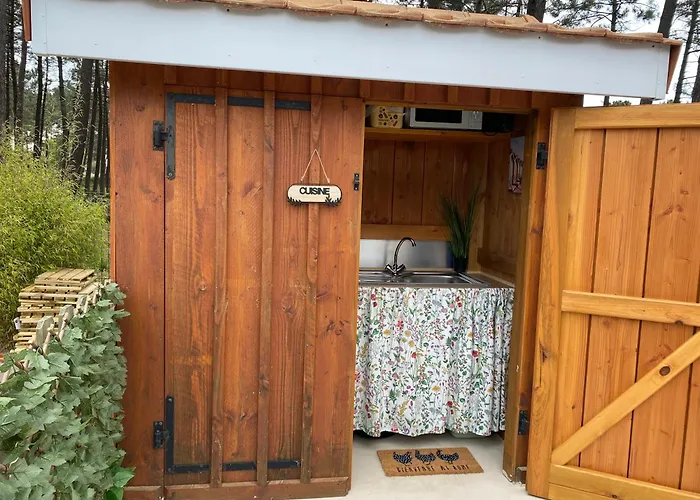 Escale Sur Le Bassin Cosy Sous Les Pins
