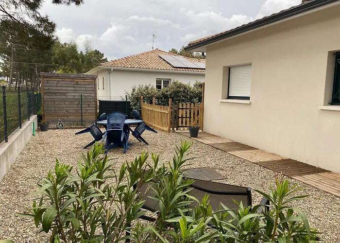Escale Sur Le Bassin Cosy Sous Les Pins