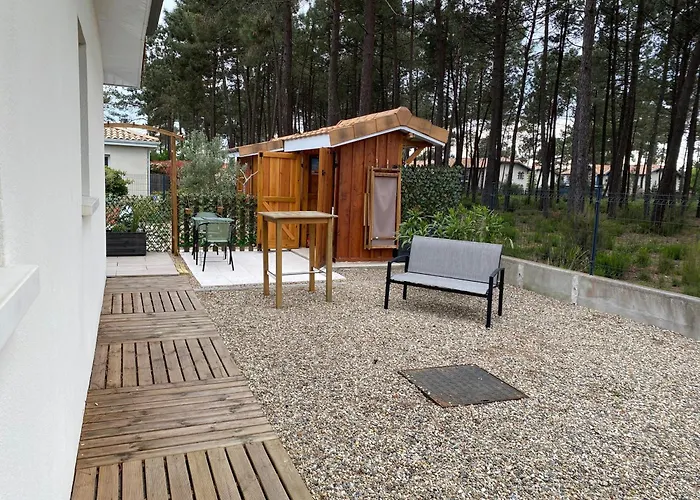 Escale Sur Le Bassin Cosy Sous Les Pins